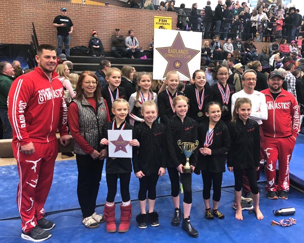 Gymnasts take third at State