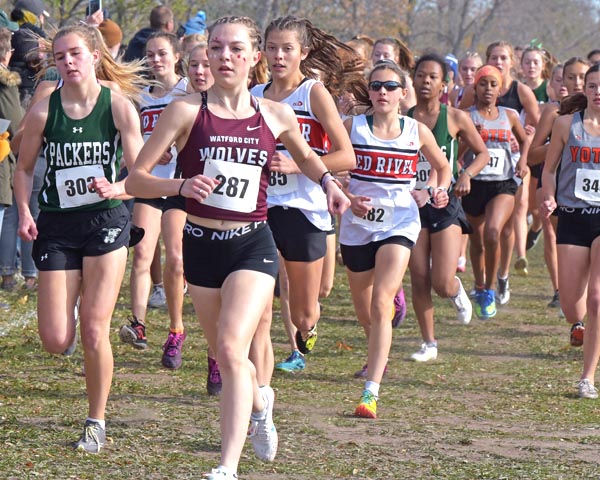 Ogle takes second at State Cross Country
