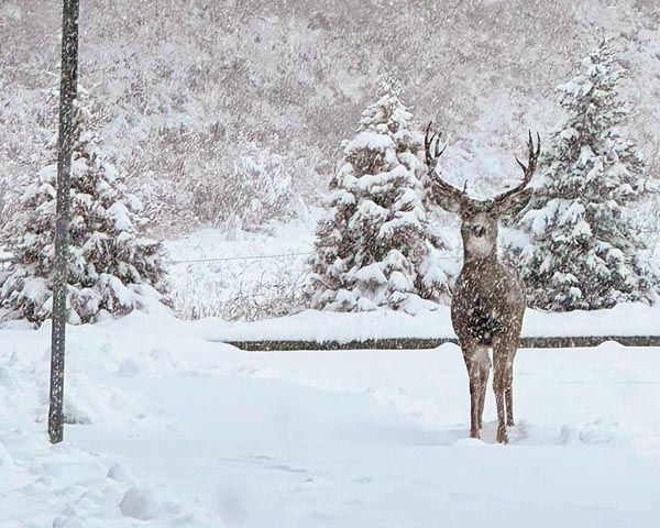 Region digs out from first major winter storm