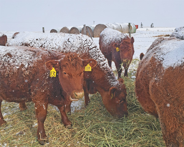Farmers face mixed conditions as spring approaches