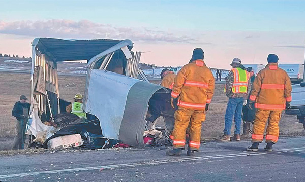 Highway 83 and 23 vehicle accident kills two horses, injures one driver