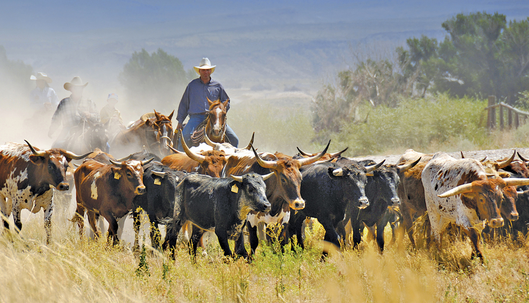 Drones and Dollars - The Modern Battlefield of North Dakota Livestock