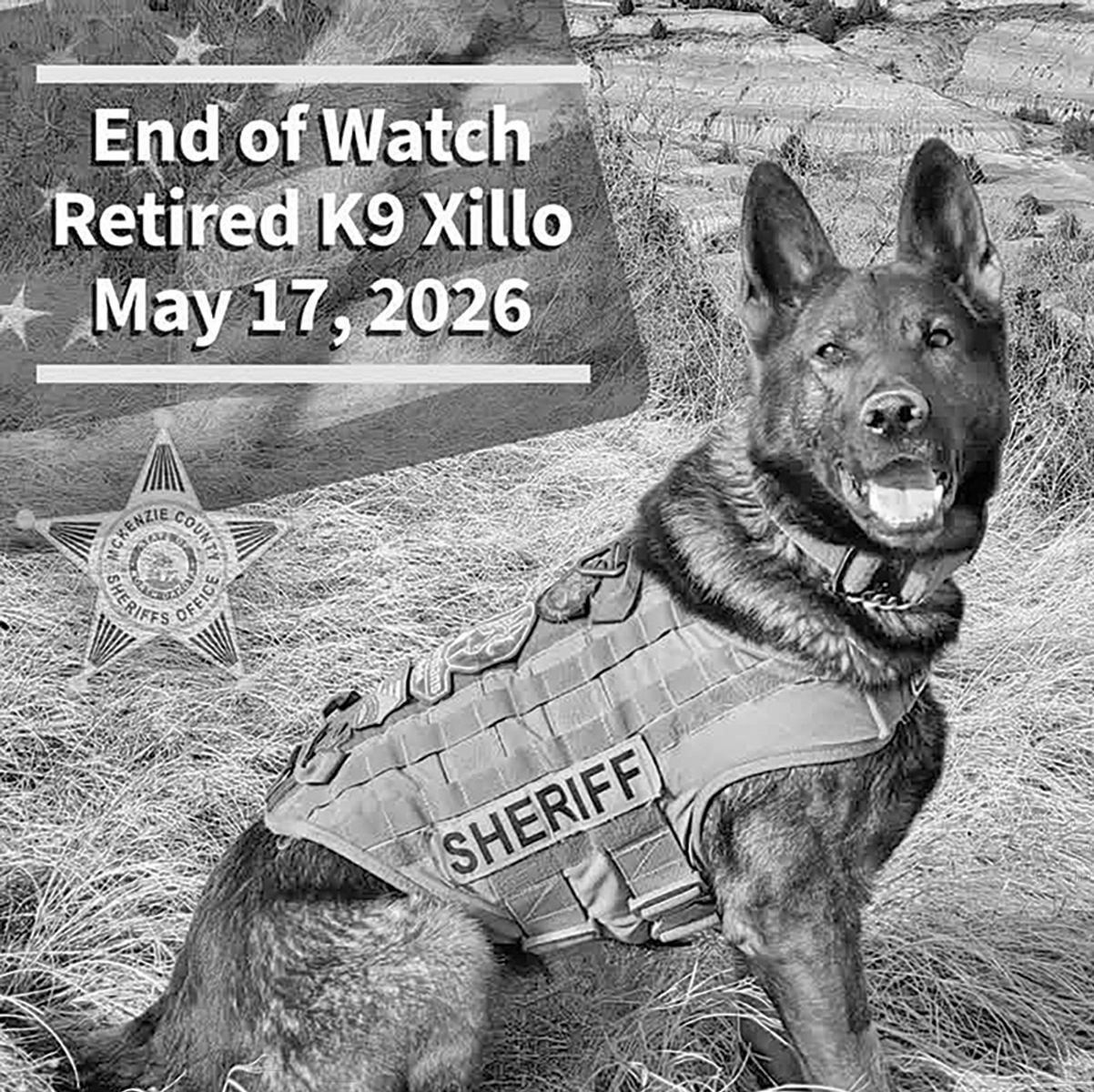 McKenzie County Sheriff’s Office Mourns Loss of Retired K9 Xillo