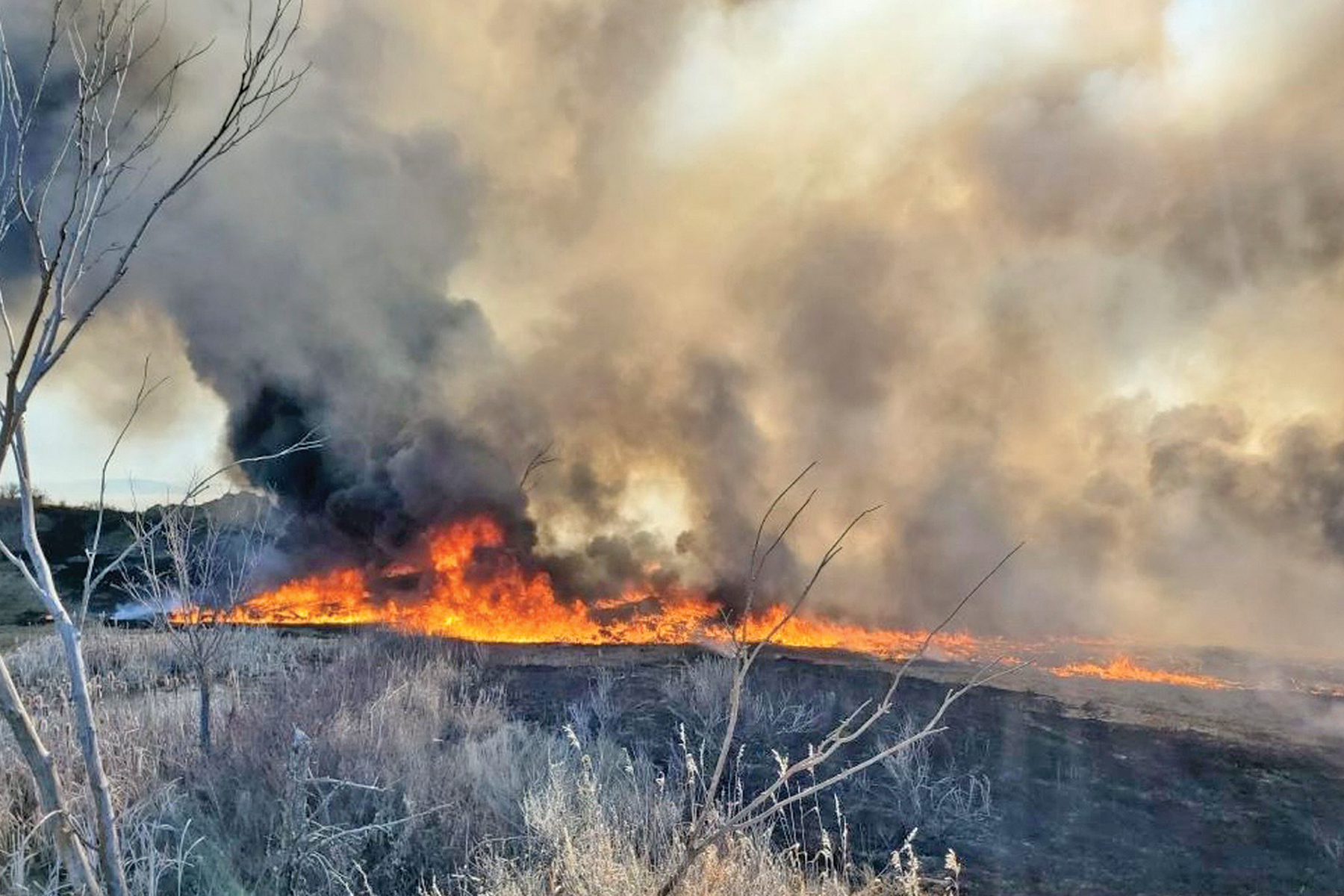 Inside Wildland Fire Response Readiness: What Communities Should Know