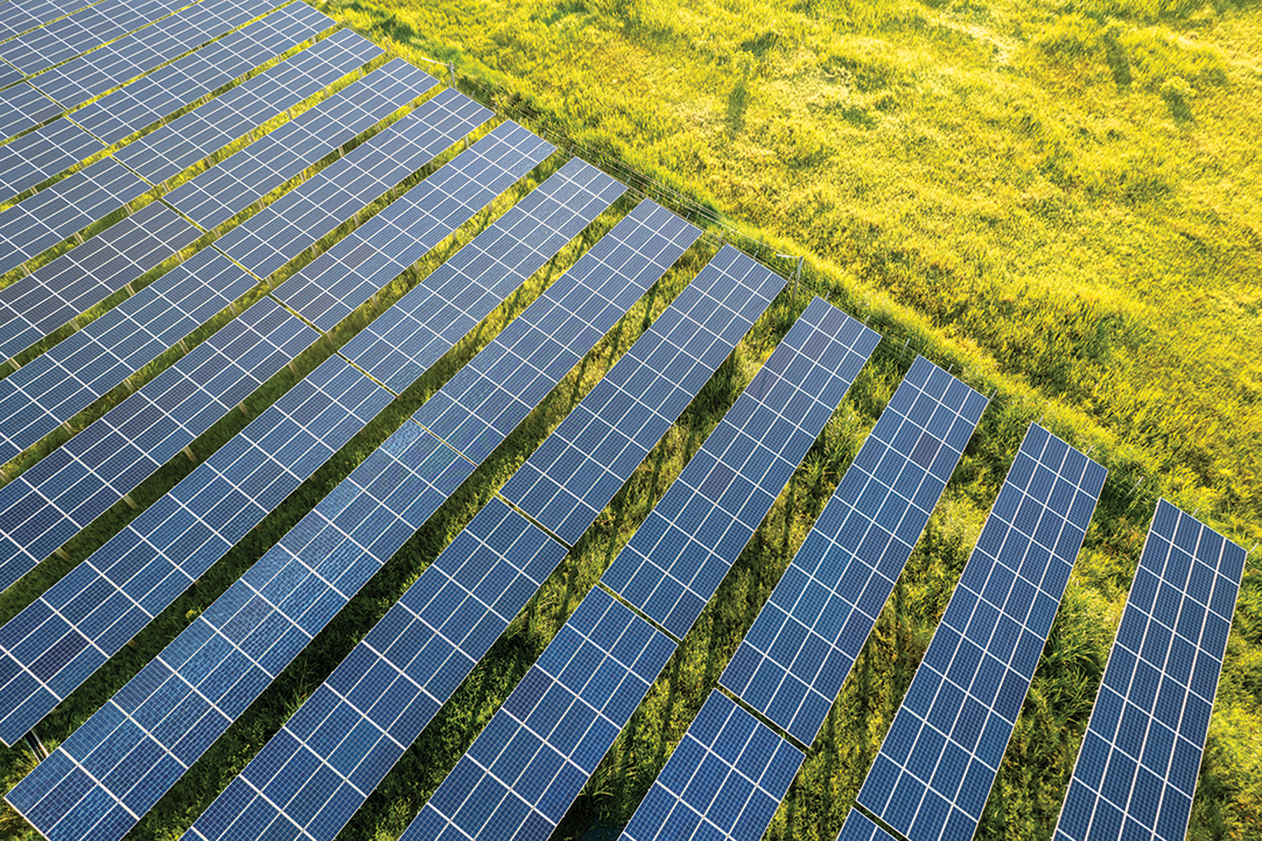 McKenzie County denies controversial Cattle Creek Solar Farm permit, developer remains hopeful