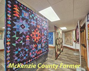 Prairie Rose Quilt Show on display at Long X Visitor Center