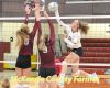 Spikers fall to Bismarck, Jamestown, Legacy