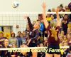 Spikers win Region 8 crown, head to State