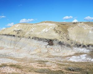 Lignite coal contains high concentration of rare earth elements