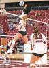Wolves volleyball falls to Minot