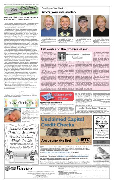 Issue content page